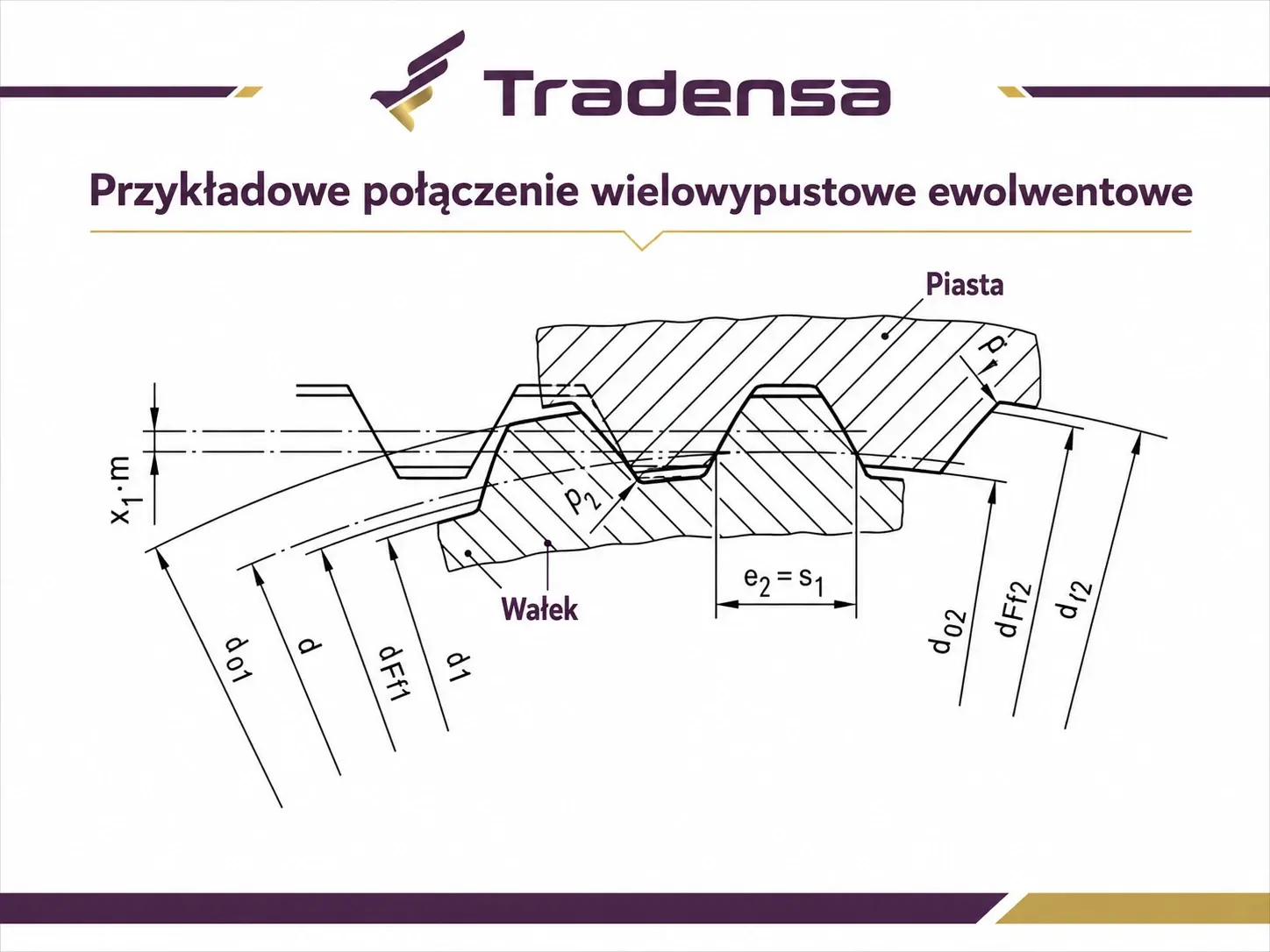 Przykład połączenia wielowypustowego o zarysie ewolwentowym